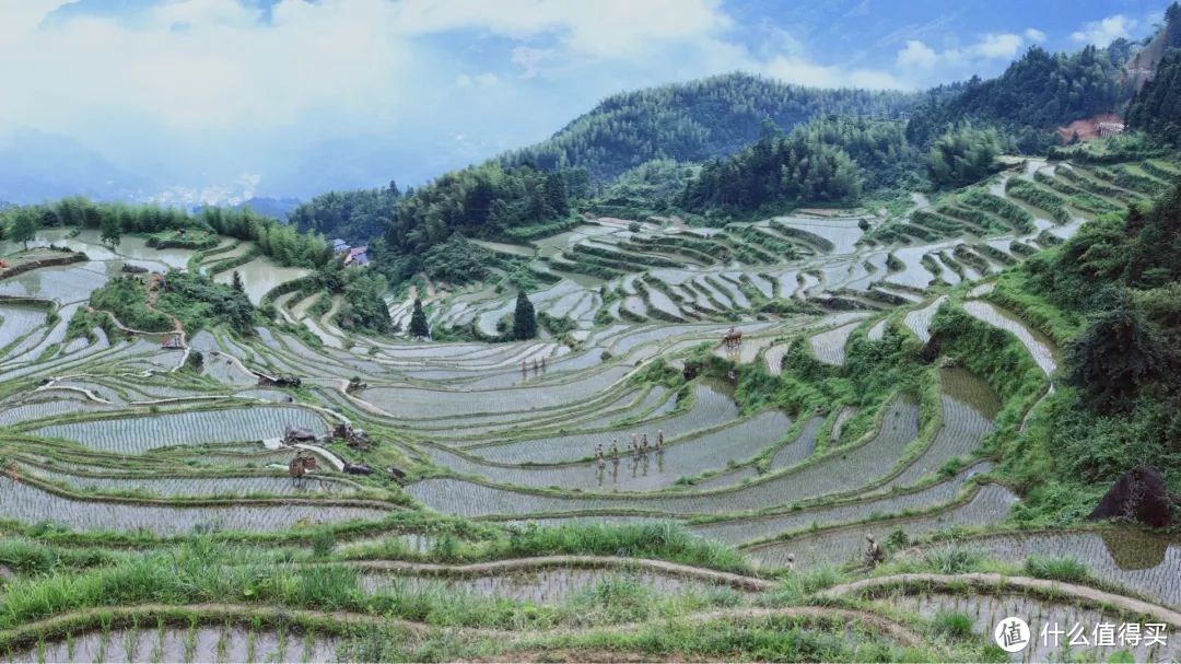 丽水行之云和梯田，丽水可能是全国最被低估的旅游城市。