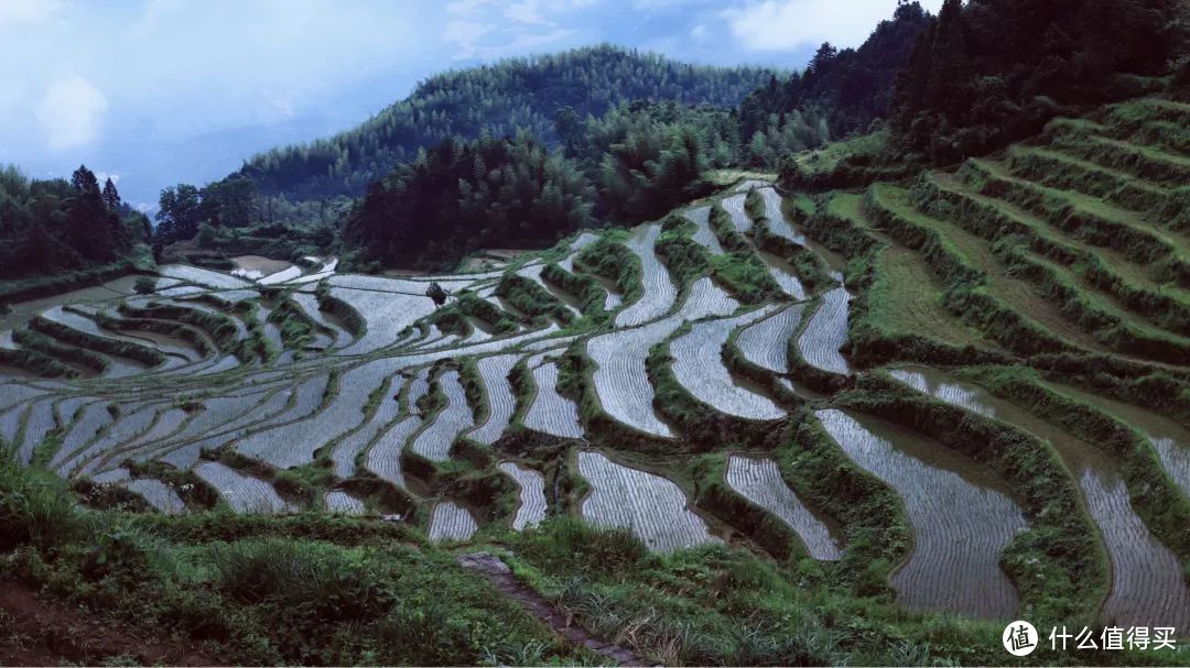 丽水行之云和梯田，丽水可能是全国最被低估的旅游城市。