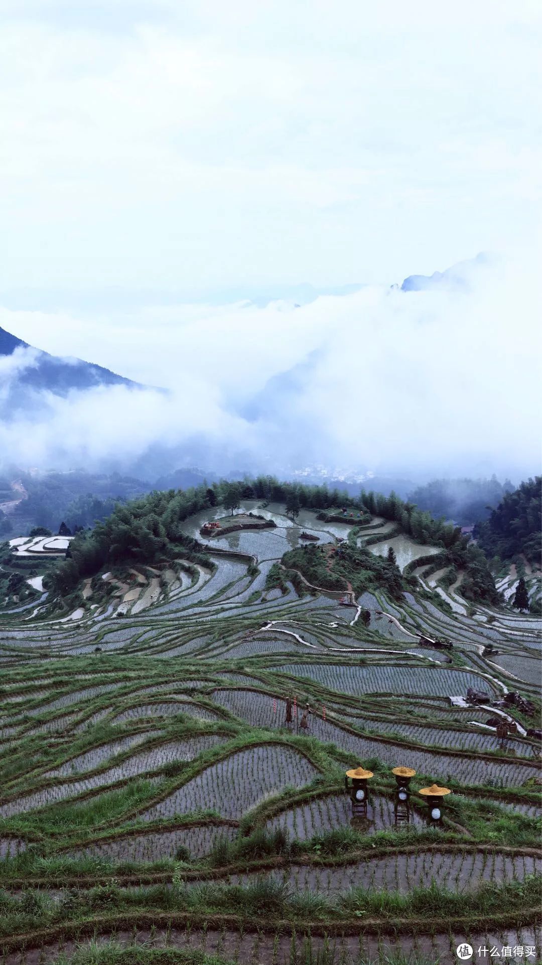 丽水行之云和梯田，丽水可能是全国最被低估的旅游城市。