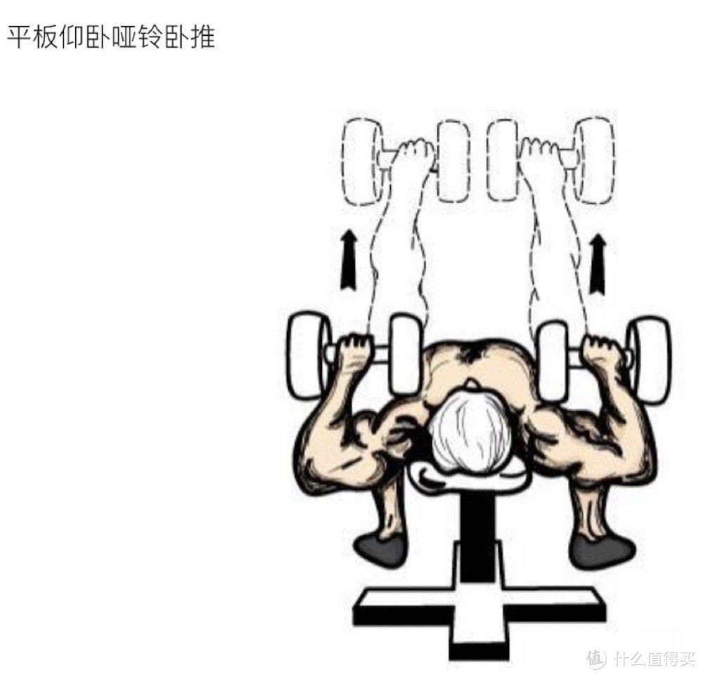 一副哑铃也能练肌肉？ —— 家庭“迷你健身馆”筹建记（2）