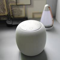 华为AI音箱外观展示(机身|功能键|插口|适配器)