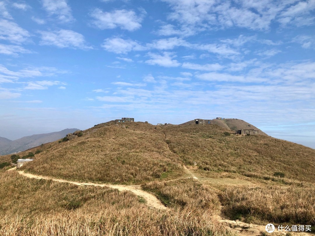 大东山上看黄草