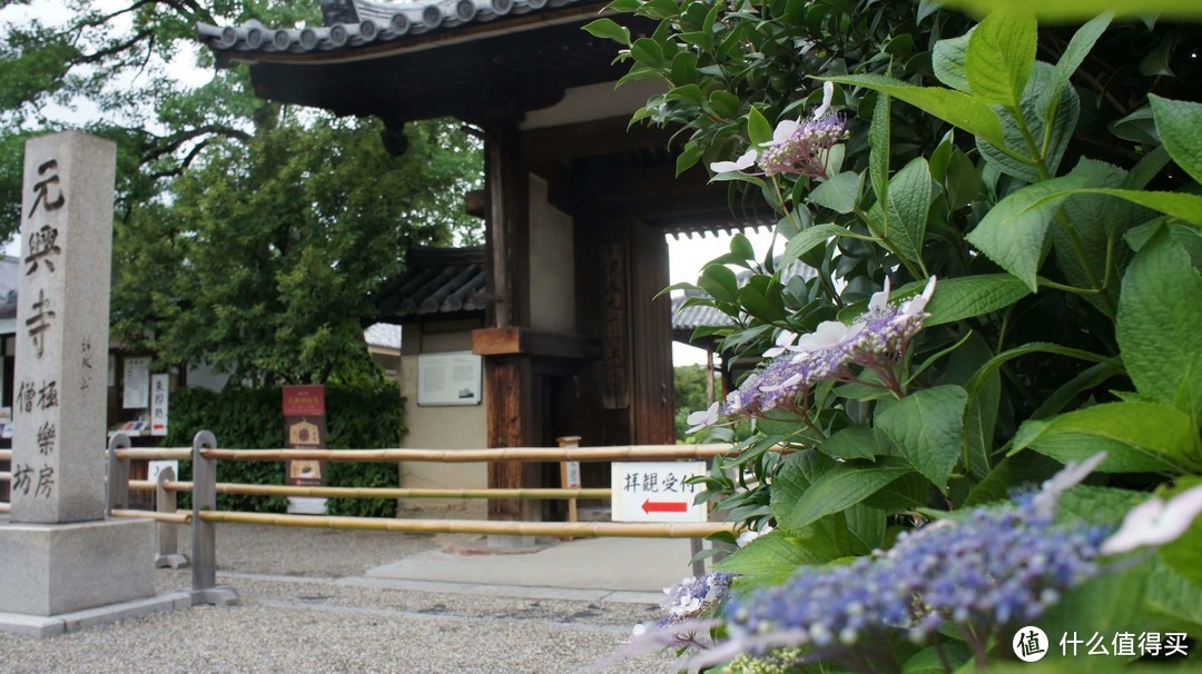 记第三次日本自由行-大阪、奈良、京都（关西地区）