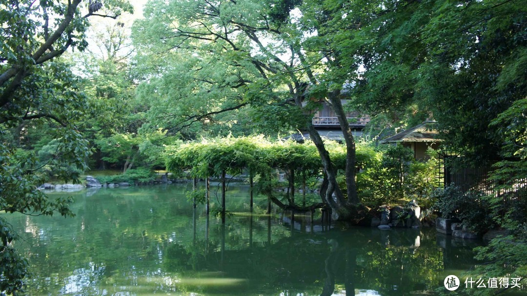 记第三次日本自由行-大阪、奈良、京都（关西地区）