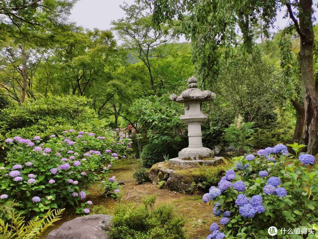 记第三次日本自由行-大阪、奈良、京都（关西地区）