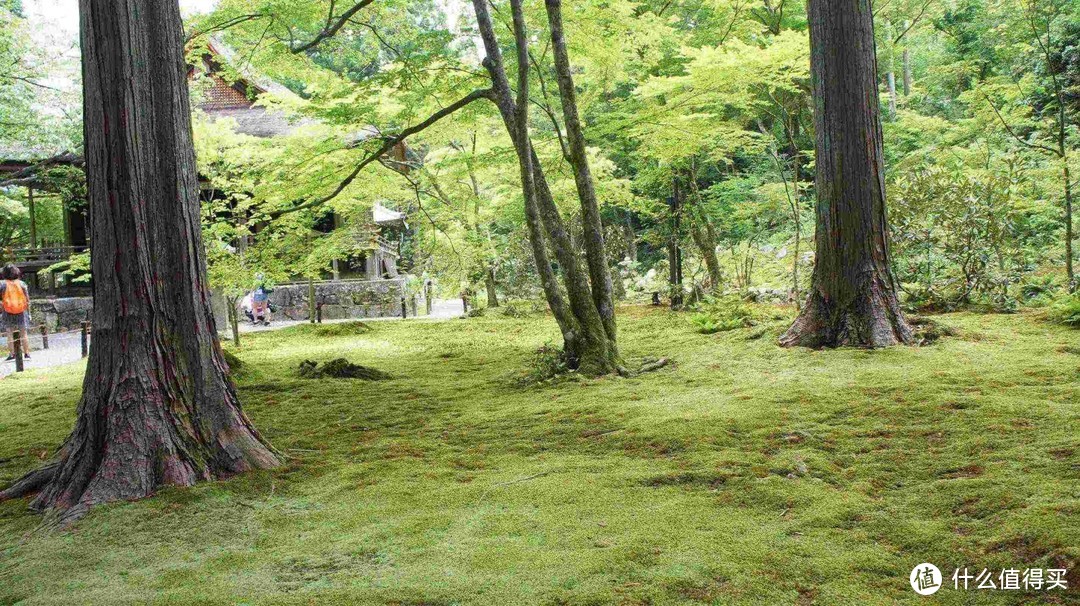 记第三次日本自由行-大阪、奈良、京都（关西地区）