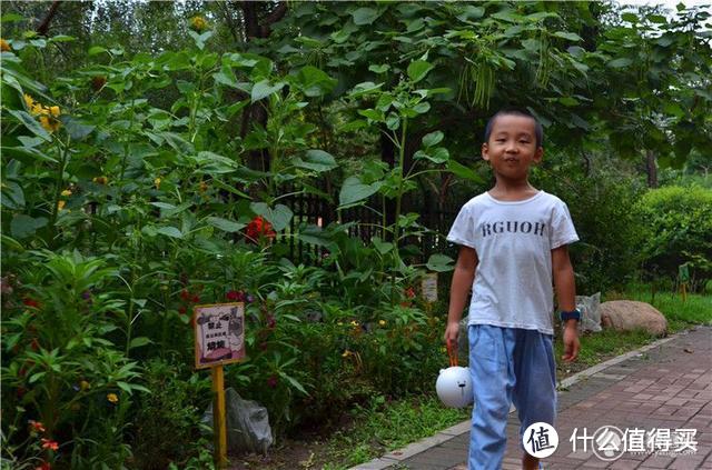 有声的陪伴，健康学习两不误——创维小湃AI智能语音故事机