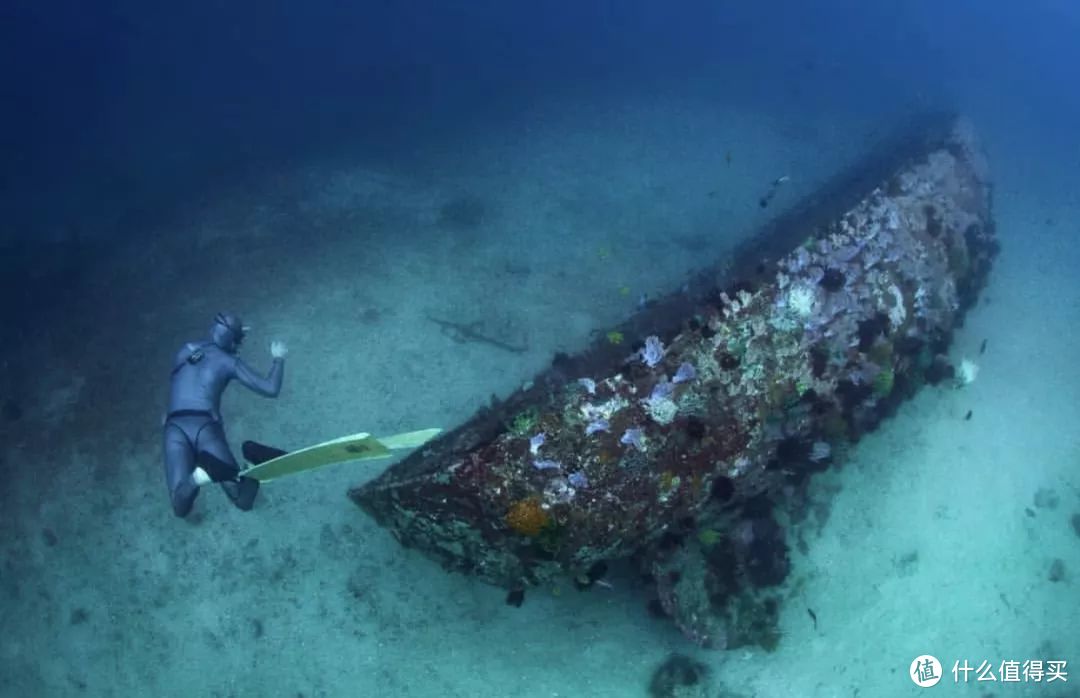 解锁海岛旅行新玩法：考一张潜水执照，探索地球70%的美