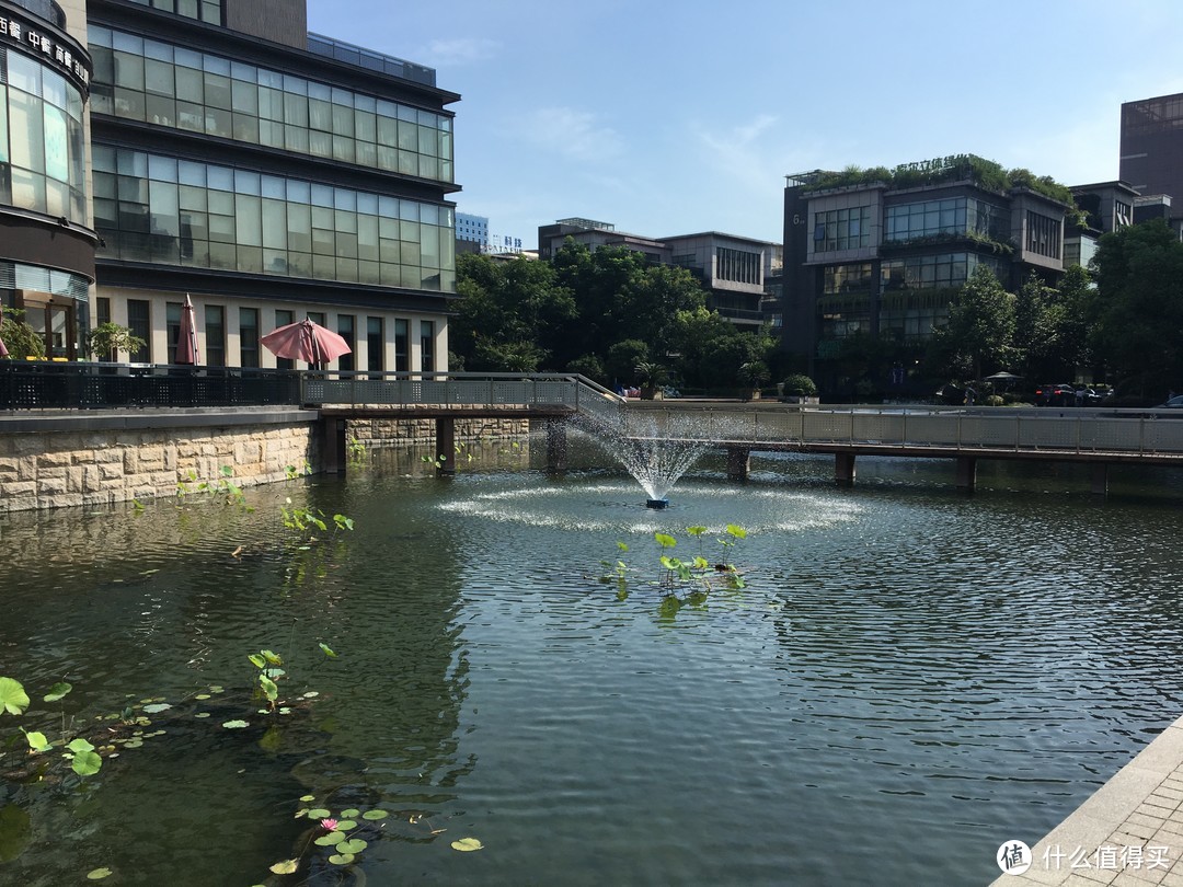 记录好物：人生中第一副近视太眼镜，感觉良好