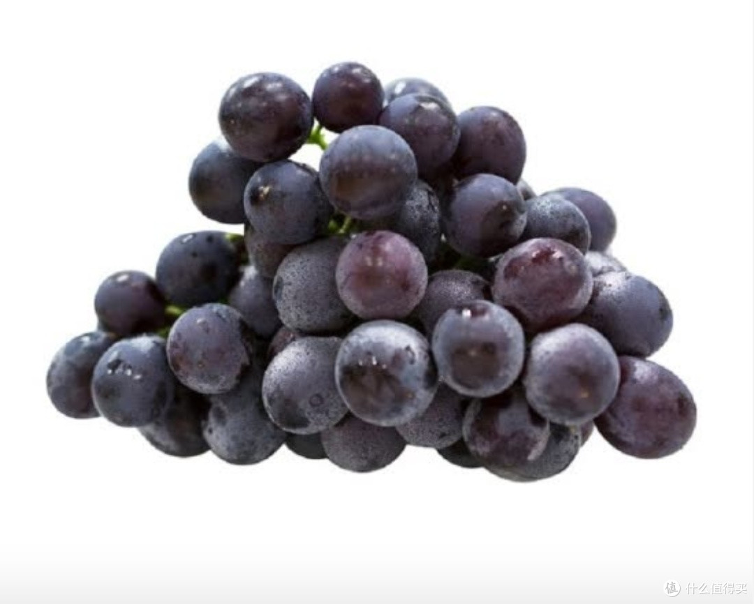 新奇水果 篇十七:亚洲果粒最大的葡萄种,巨峰葡萄(圆润晶莹甜蜜多汁)