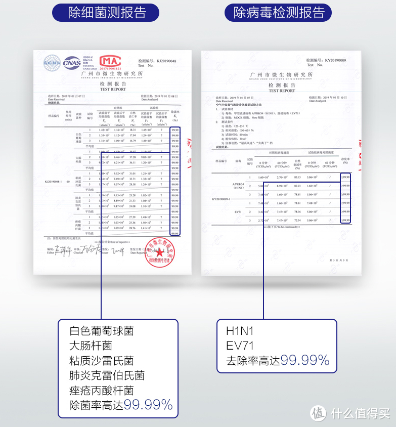 合租室友强行养猫，我走向了买空气净化器之路……（含选购攻略）