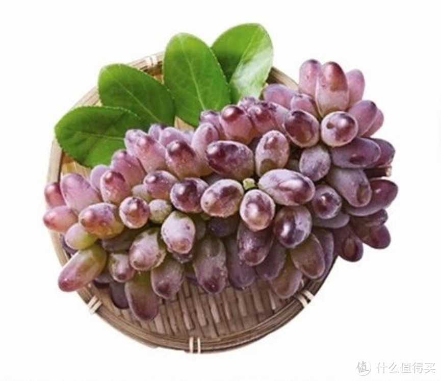 茉莉香味的紫绿色小葡萄（入口清凉口味，后感茉莉花香）天下第一好吃的葡萄