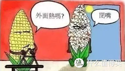 必须强烈安利的夏日救命好物