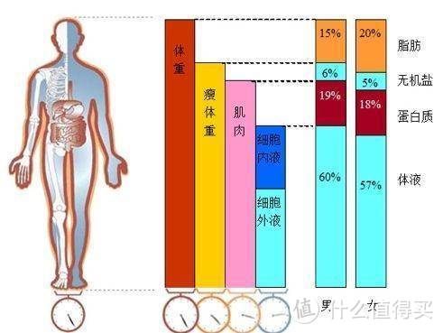 好体知M2智能体脂称评测：一个体脂称为何敢卖500块