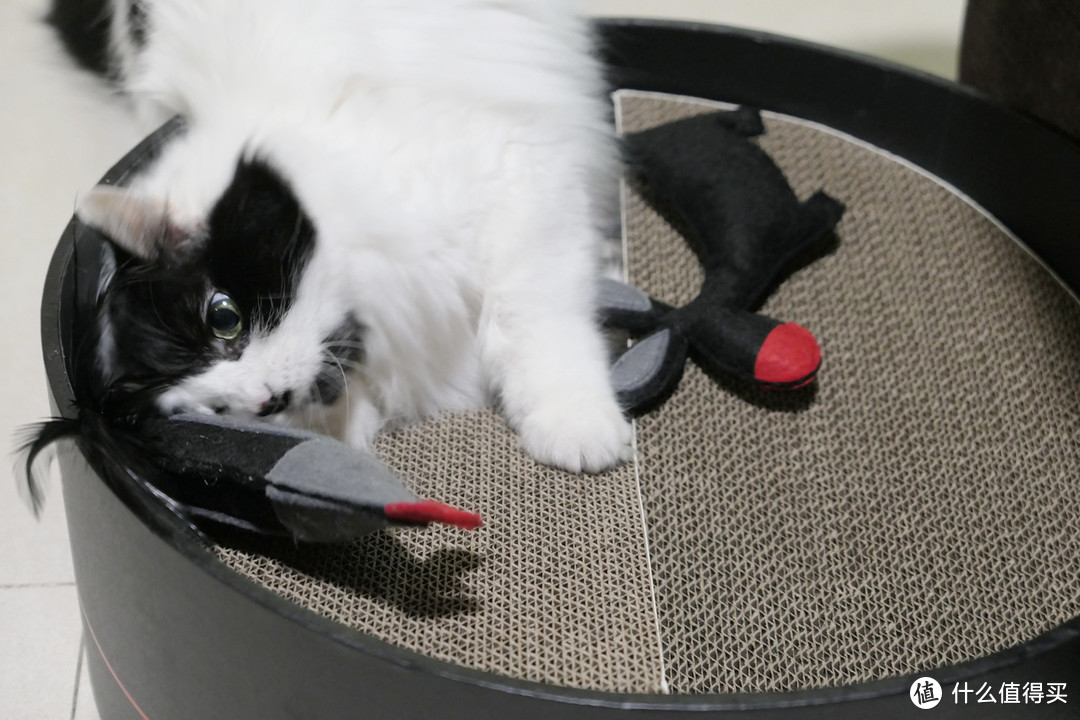 拿什么拯救沙发：猫主子的磨爪利器晒单