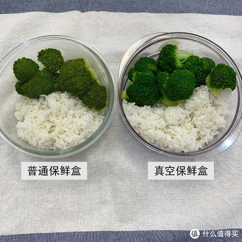 评测|摩飞保鲜机是否值得入手？