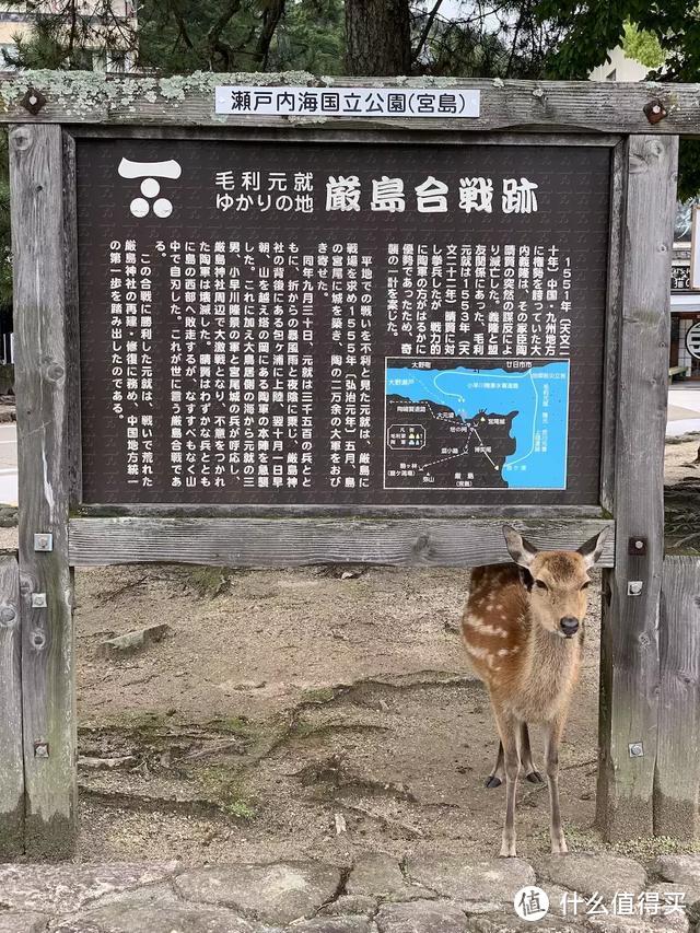 特色美术馆之旅——濑户内海7天行