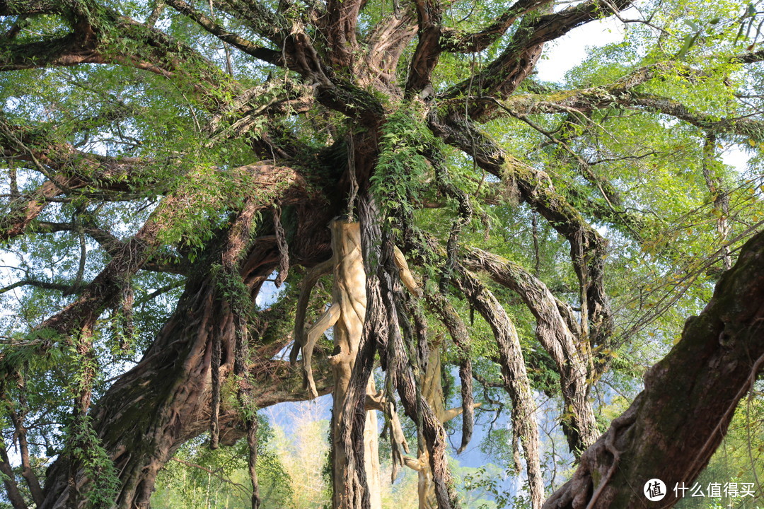 周边的另一些大山小山