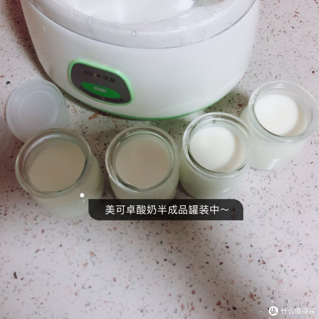 如何使用Maxigenes美可卓全脂奶粉制作酸奶呢？