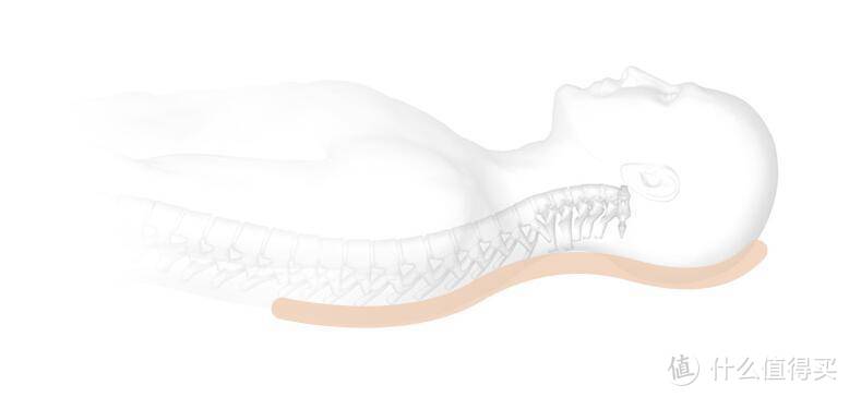 如何选择一个适合自己的枕头？附SIDANDA鹅绒多层中枕体验与对比