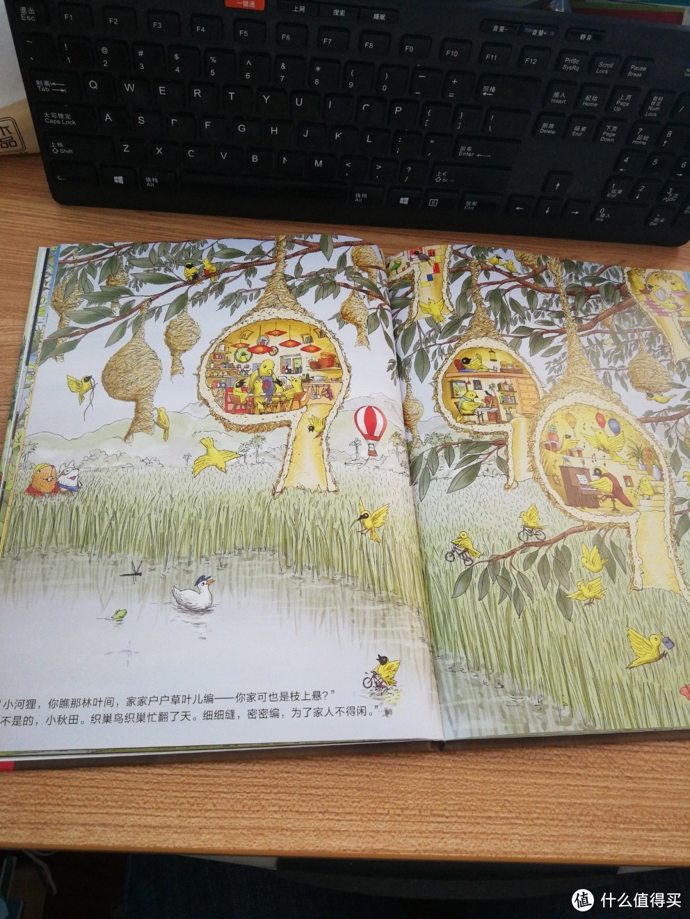 鹦鹉螺•自然科学启蒙与生命教育绘本：这是谁的家+藏在森林里的生命 2册