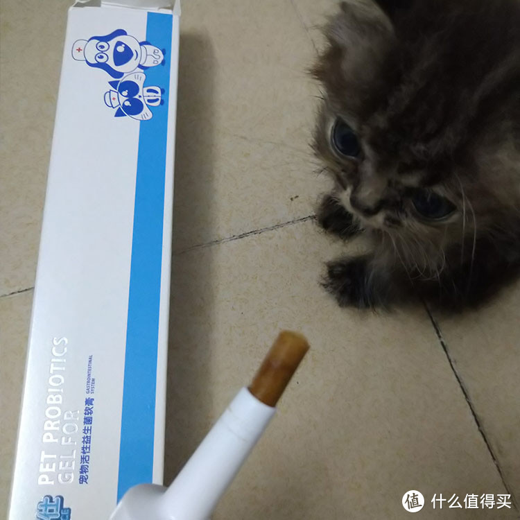 猫咪不吃不喝不便没精神？试试佰莱仕