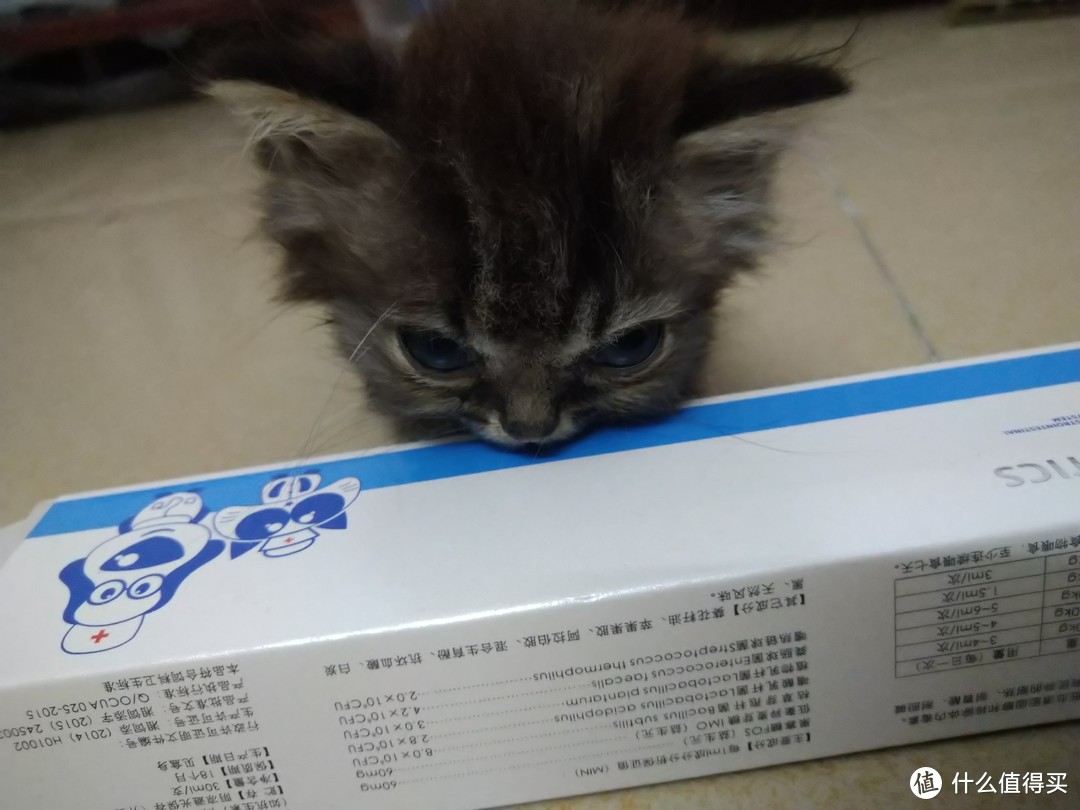 猫咪不吃不喝不便没精神？试试佰莱仕