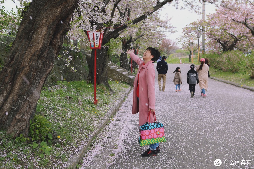 来回只为樱吹雪