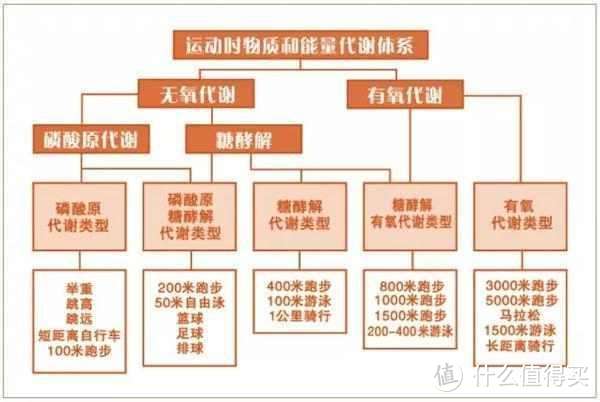 你这么拼，为什么还是瘦不下来？——细说那些必须get的减脂技能点