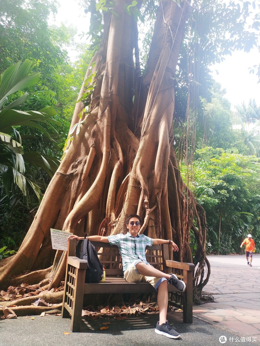新加坡植物园，大树底下好乘凉