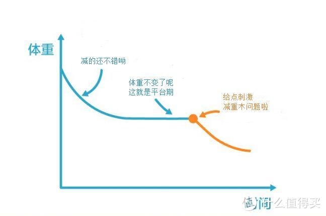 史上最全减肥教程 万字干货帮你避过各种坑