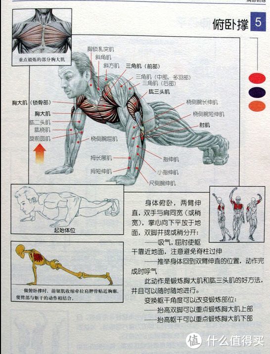 史上最全减肥教程 万字干货帮你避过各种坑