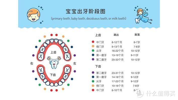 孩子不爱刷牙？试试这款酸奶味的牙膏