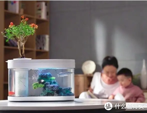 小米懒人鱼缸，做不凡的生活造景师
