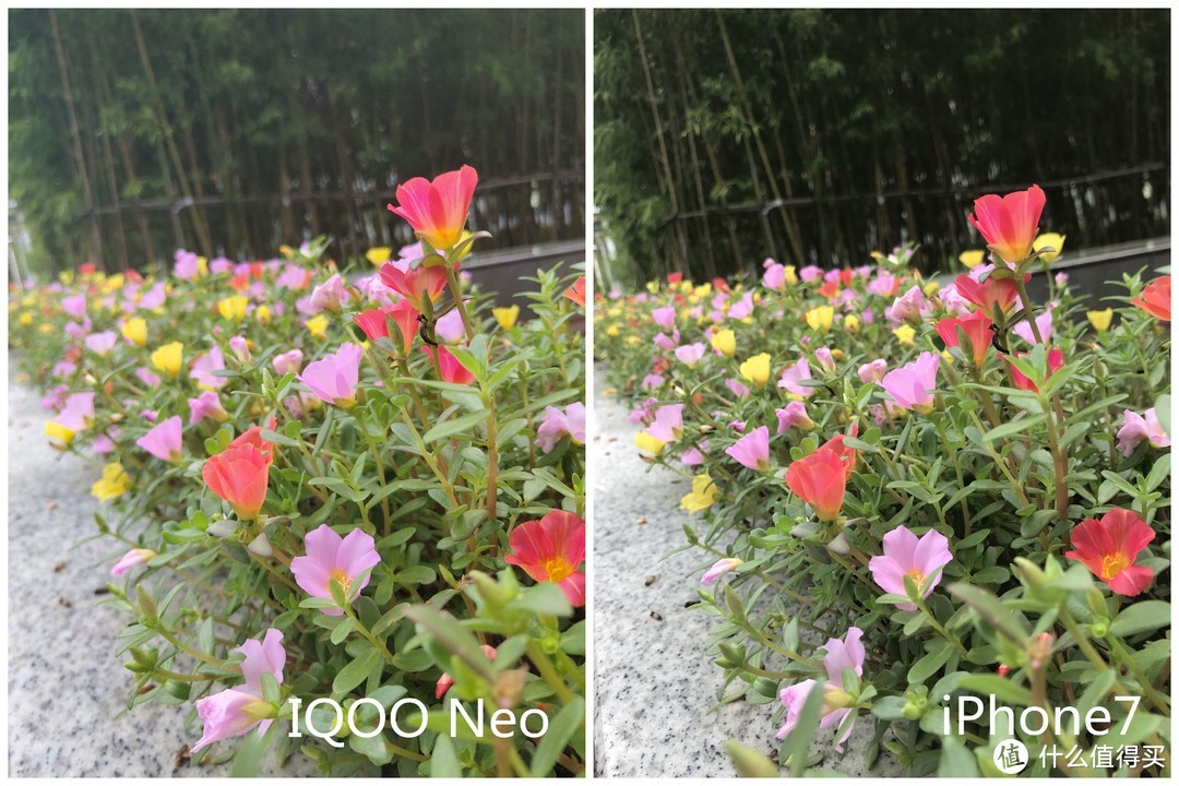 行云流水，点亮你的美：iQOO Neo 智能手机 8GB+128GB测评