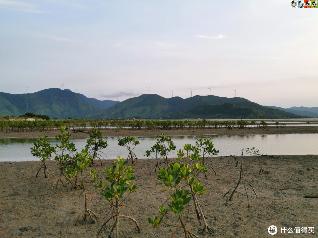 希望这些消浪先锋、海岸卫士越来越多，这代表着我们这片乐土生态环境越来越好。