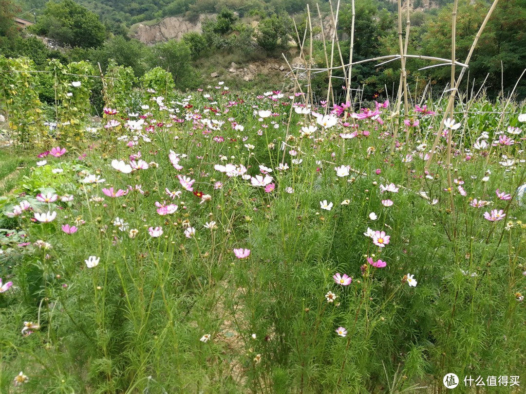 从心而行的青岛五日游