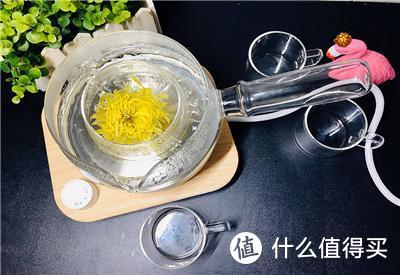 约上三五好友，鸣盏三合一煮茶器带你一起品茶