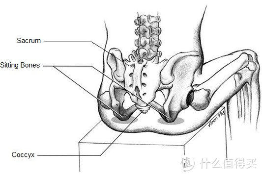 轻松告别二郎腿——乐班护腰塑形坐垫开箱