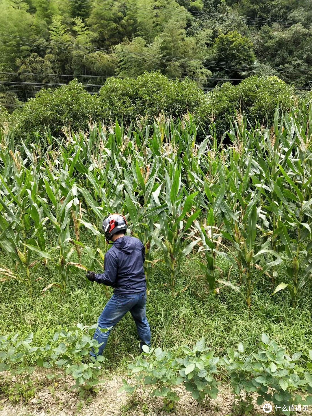 某人做坏事。。。。。这里严重不建议，大家别模仿