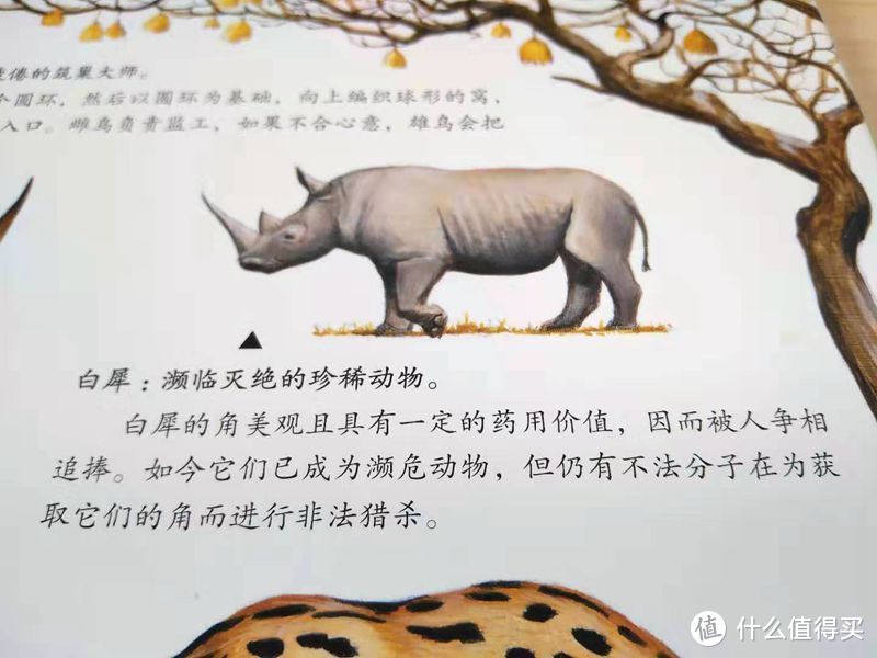 还有一年就要上小学了，说说为幼升小准备的那些童书