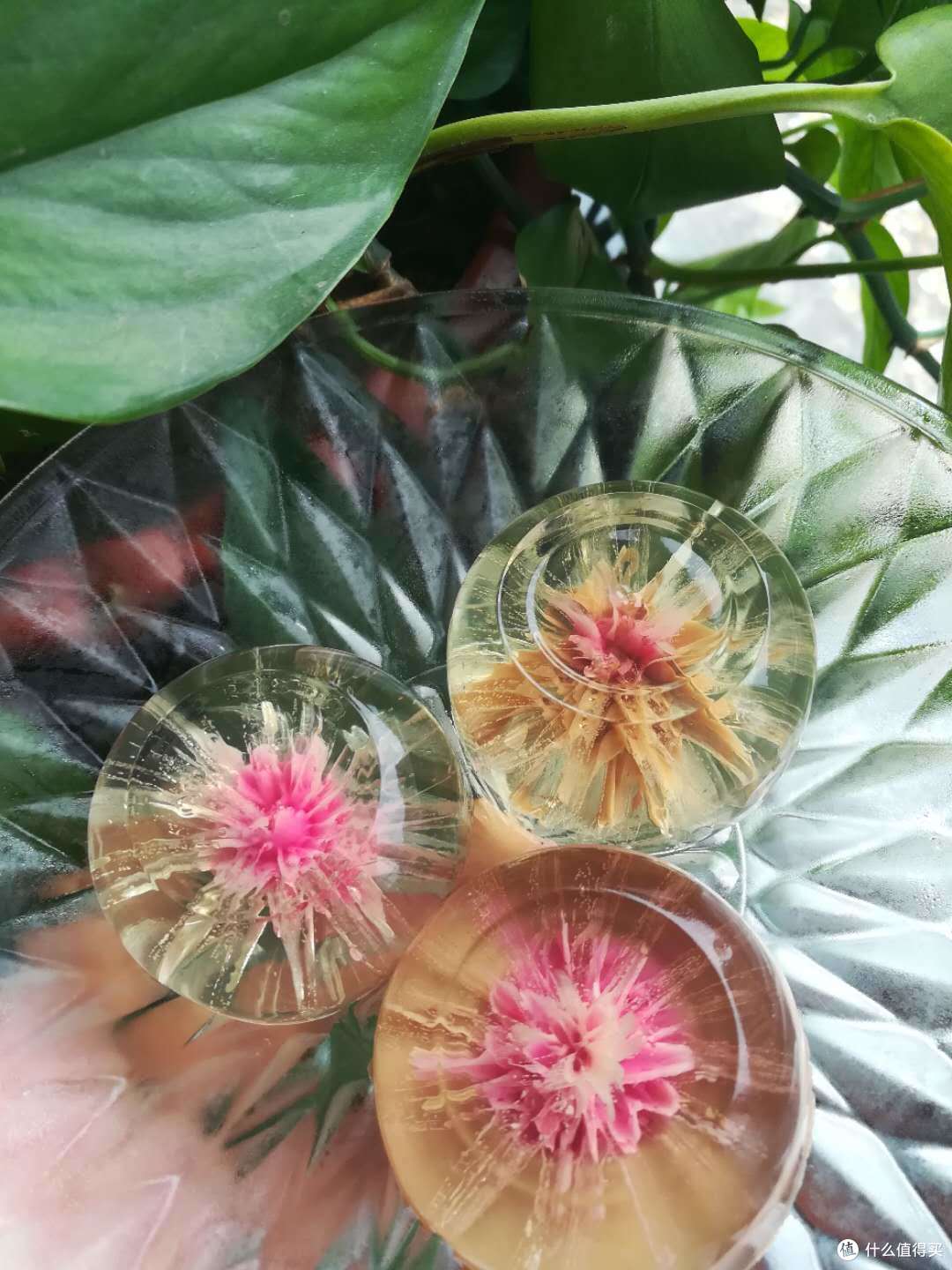 清凉一夏之化骨绵掌