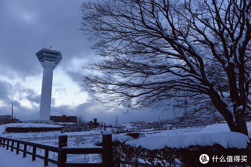 12月的北海道，给大家种个草，因为我又准备去了