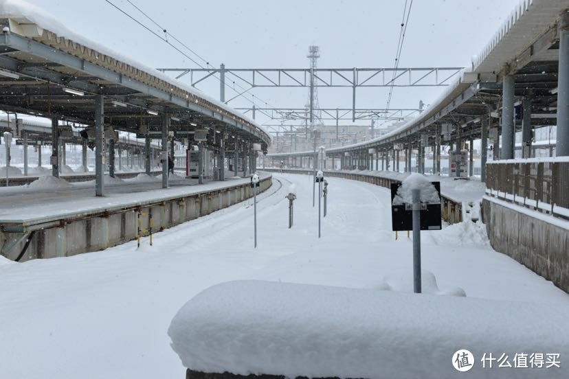 12月的北海道，给大家种个草，因为我又准备去了