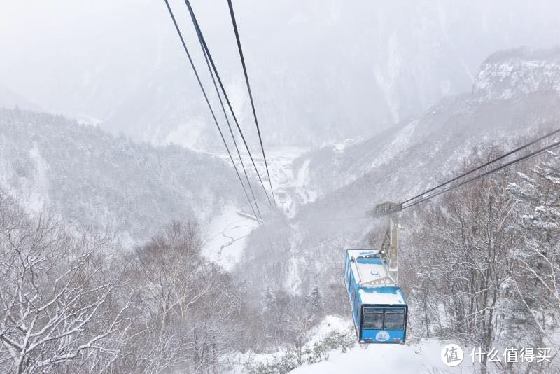 12月的北海道，给大家种个草，因为我又准备去了