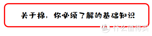 值无不言100期：爱自己爱睡你，纯棉四件套防坑选购攻略，100块的和1000块的差距在哪里？