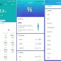 乐心体脂秤S11使用总结(数据|测量|分析)