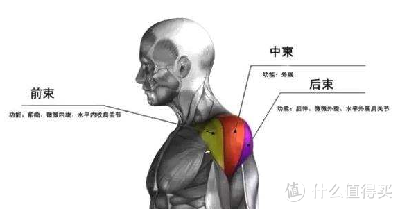 给爱人一个可以停靠的港湾 之 如何练好肩膀