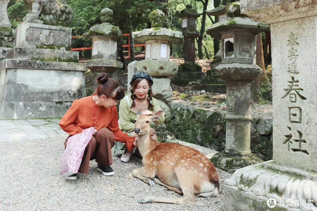 春日大社　拍摄地点：奈良