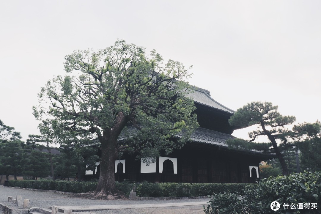 清晨的京都二年坂三年坂　拍摄地点：京都